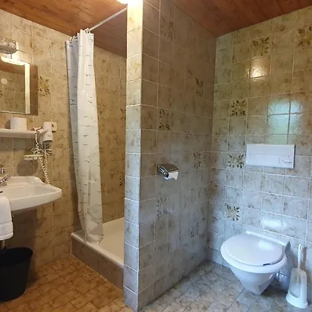Hotel Alpenrose Hinterhornbach